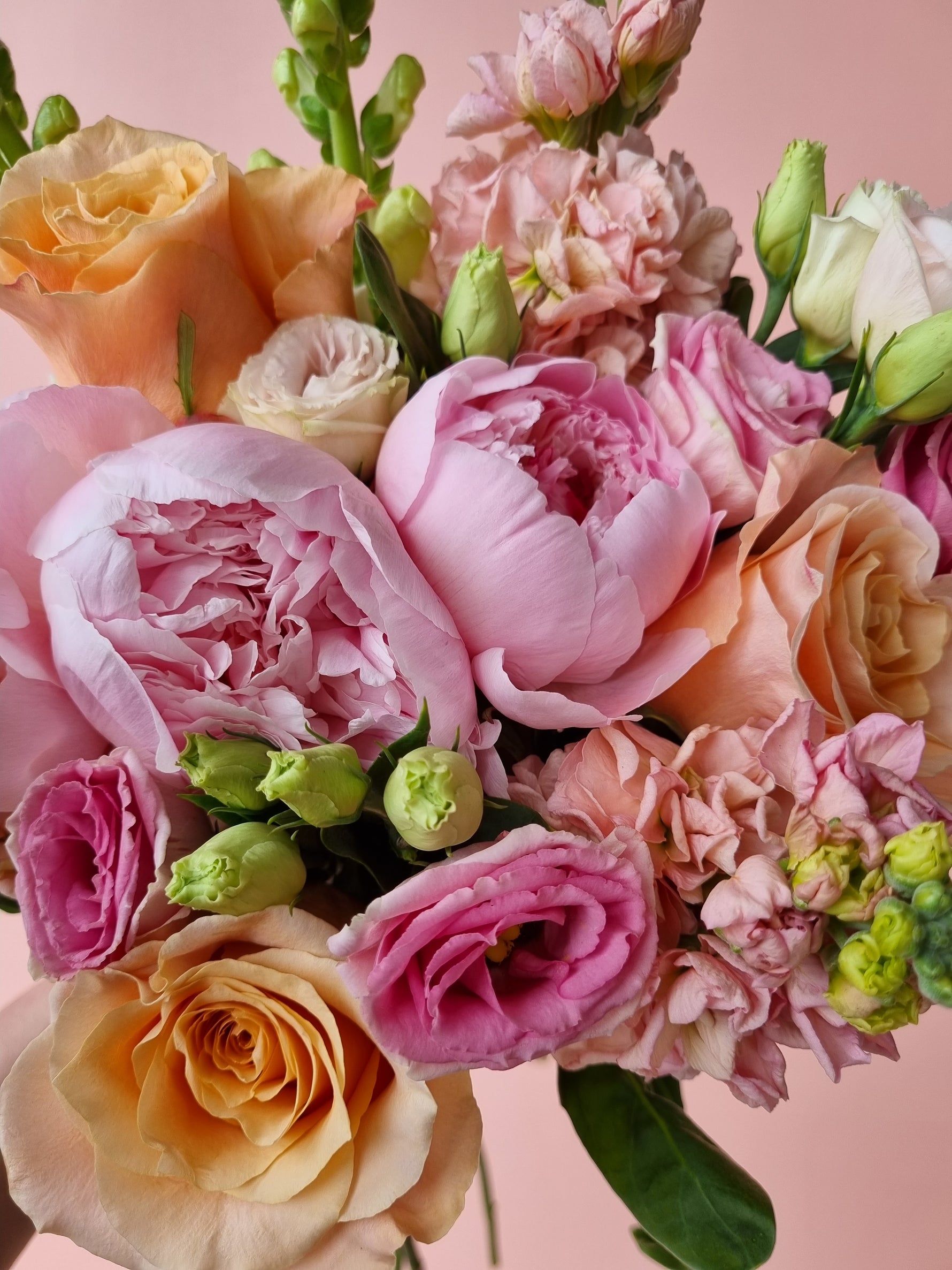 Delivery Areas THE WILD BUNCH HOBART FLORIST