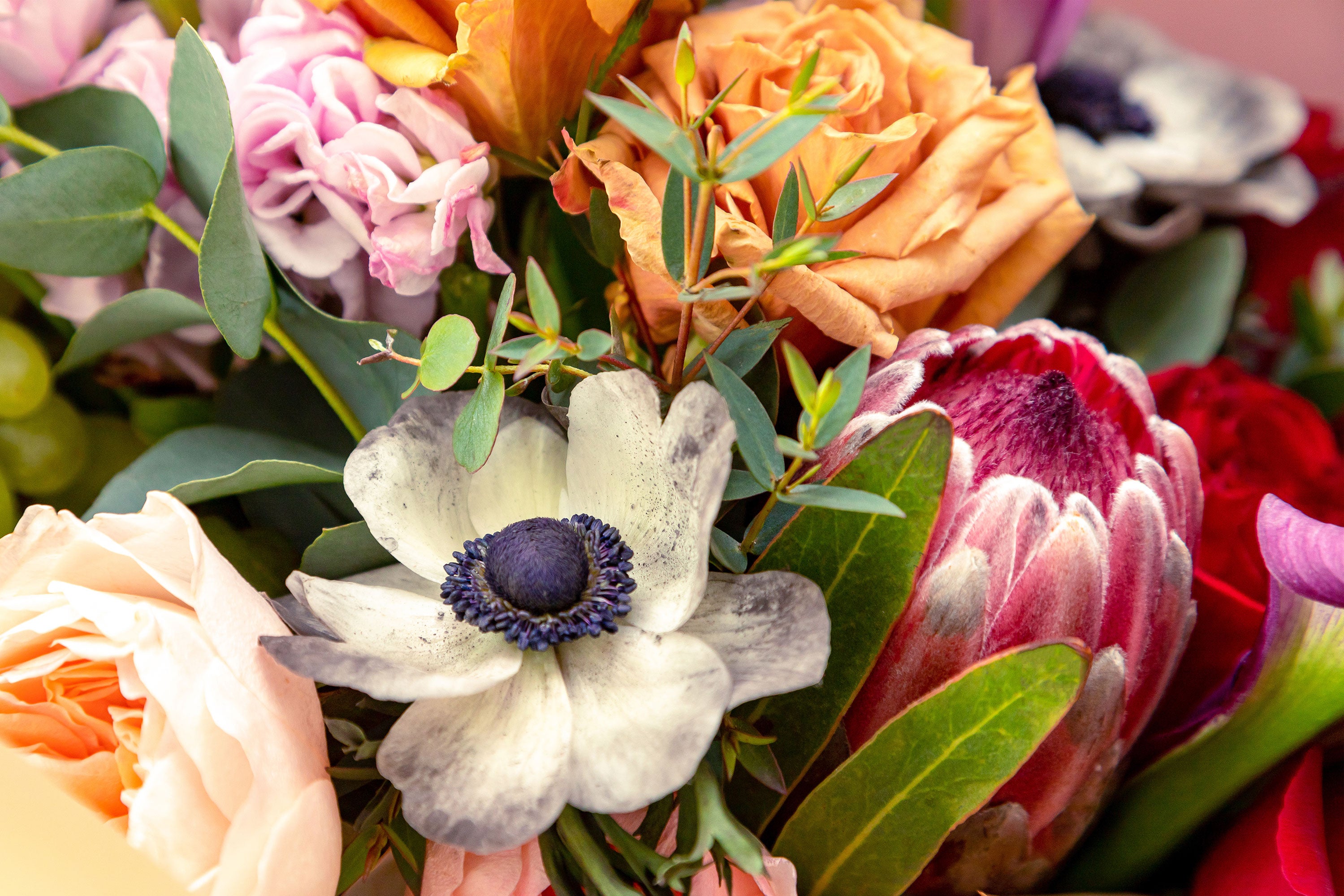 The Wild Bunch Hobart Fresh, Modern, Affordable Flowers Same day delivery Hobart THE WILD