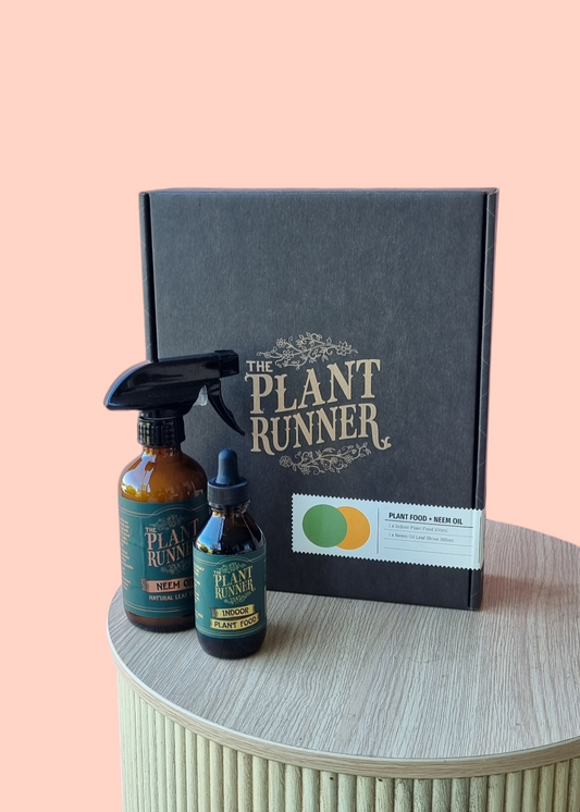The Plant Runner Gift Pack-Hobart Florist Delivery-The Wild Bunch